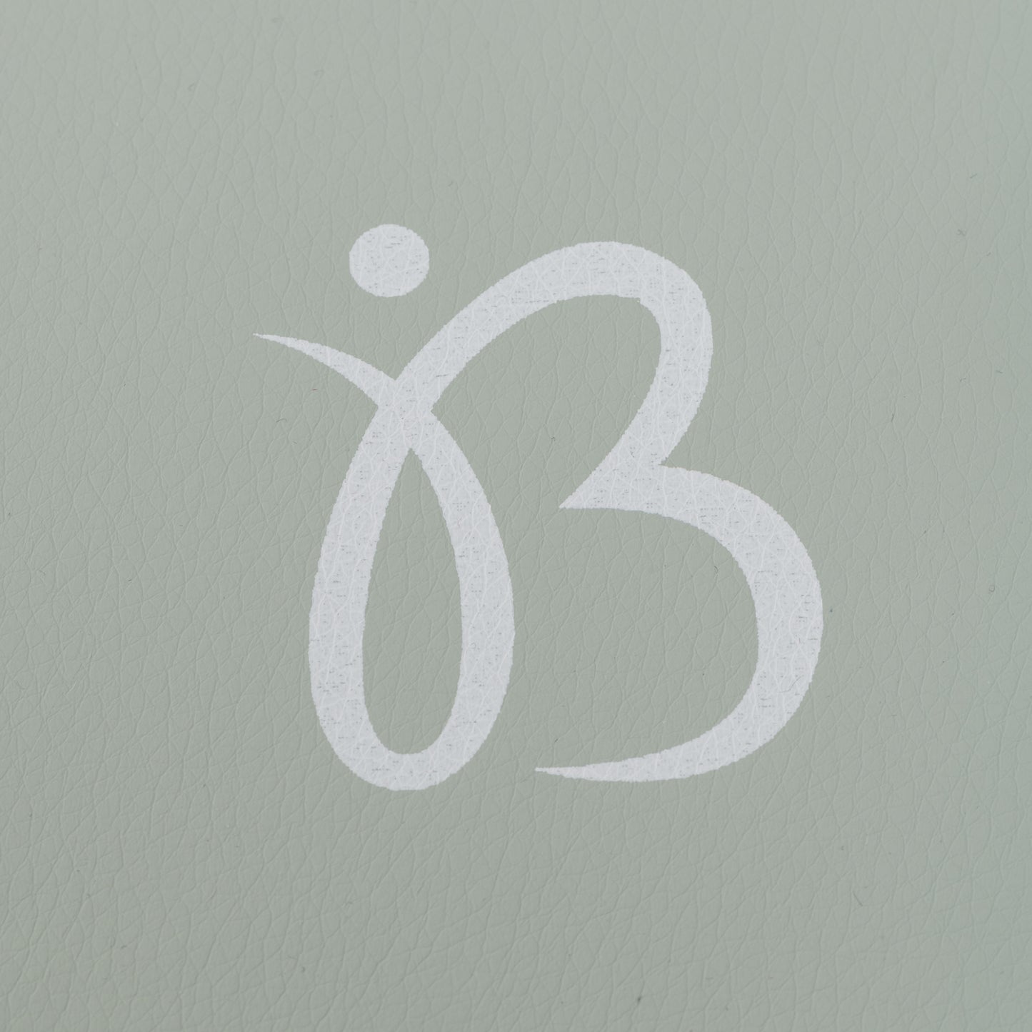 Bebelissimo - Chaise haute évolutive bébé - Pliable - Compacte - Réglable hauteur - De 6 mois à 3 ans (15kg) - vert